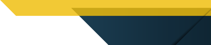 Layer 81