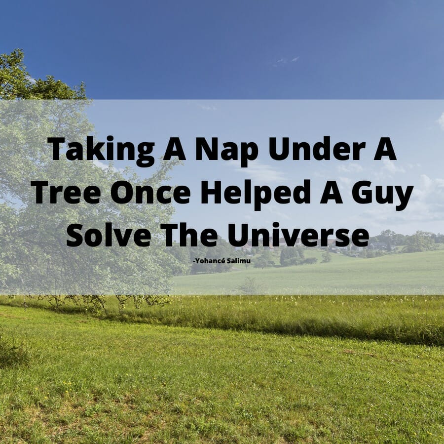 Motivational quote about Sir Isaac Newton having all the fun